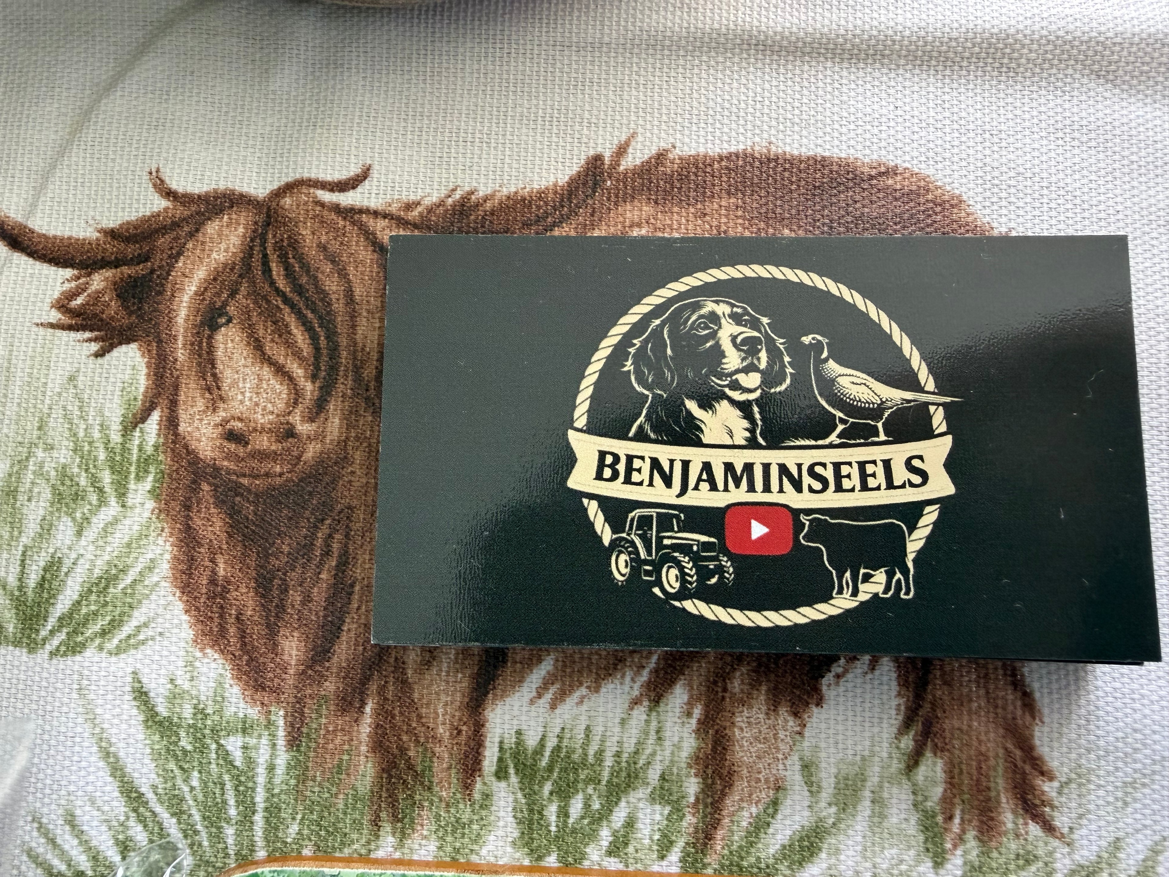 Fridge magnet/car magnet