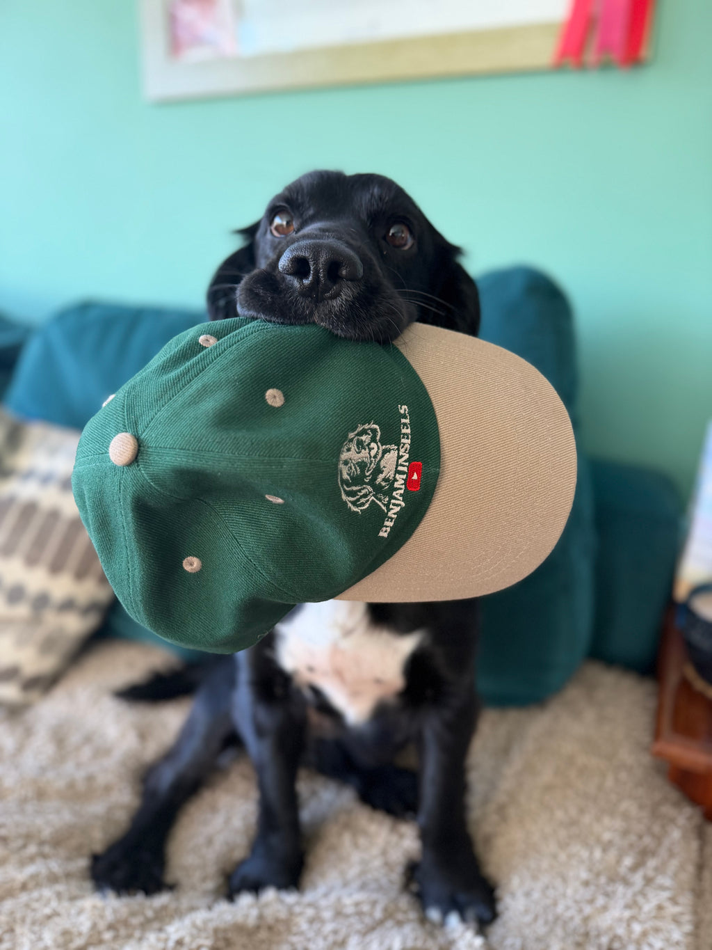 Roger Cap beige peak